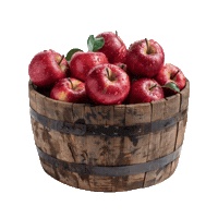 Apple Pie Apples Sticker