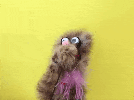 no comment oops GIF by Hazelnut Blvd