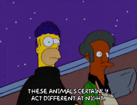 homer simpson night GIF