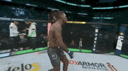 ufc sports sport ufc mma GIF