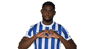 Home Bundesliga Sticker by Hertha BSC