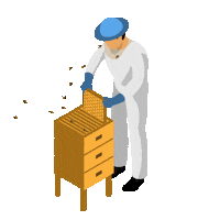 Hamburger Hafen Bee Sticker by HHLA