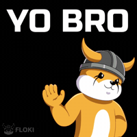 Hey Bro Hello GIF by FLOKI