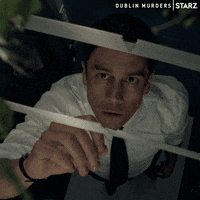 Sarah Greene Starz GIF by Dublin Murders