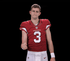 Arizona Cardinals Yes GIF by NFL