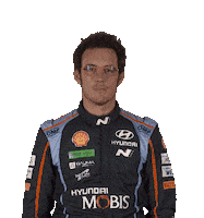 Thierry Neuville Wtf Sticker by FIA World Rally Championship