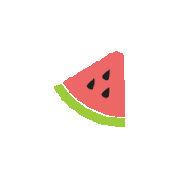 Fruit Melon Sticker by Watermelon Swim