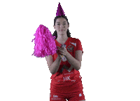 Sport Volleyball Sticker by LP Viesti