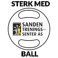 Sandengrafikk Sticker by Sanden Treningssenter