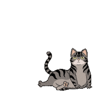 cat Sticker