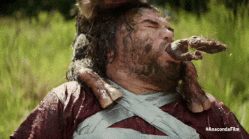 Anaconda GIF by Sony Pictures Germany