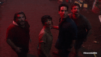 Anaconda GIF by Sony Pictures Germany