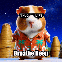 Breath Harmony GIF by Guinea Gambino
