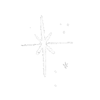 Star Sticker