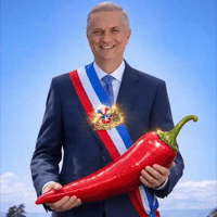 Chile Kast GIF