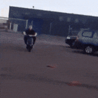 alex jones GIF