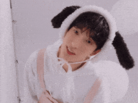 Dk 세븐틴 GIF