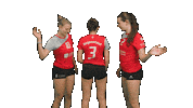 tbasvvolleyball volleyball damen1 regenstauf tbasv Sticker