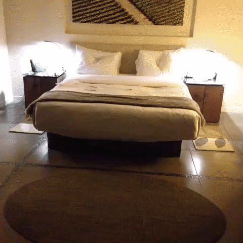 napaish GIF by andymilonakis