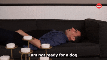 I Am Not Ready For A Dog