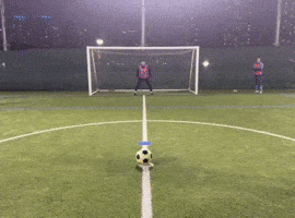 Football Soccer GIF