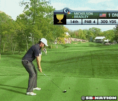 fan head GIF by SB Nation