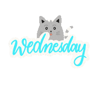 Wednesday Weekdays Sticker