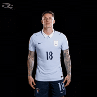 Fifa World Cup Uruguay GIF by Respective