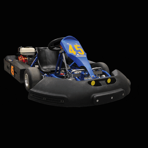 circuitparkberghem giphyupload racing kart karting GIF
