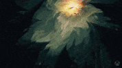 Jean Grey Fire GIF by Xbox