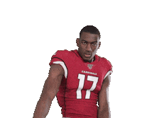 Arizona Cardinals Football Sticker by NFL