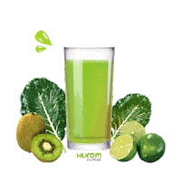 huromeurope green vegan juice kiwi Sticker