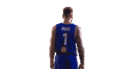 Czech Republic Game Sticker by FIBA