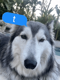 Sad Thanks GIF