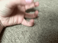 Curse You GIF