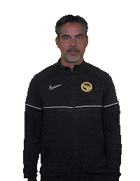 Football Soccer Sticker by BSC Young Boys