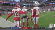 National Football League GIF by NFL