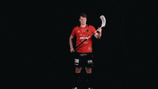 Niittarit GIF by LNM Salibandy
