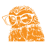 Eule Sticker by Optik Breiderhoff