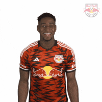 Vamos Get Loud GIF by New York Red Bulls