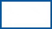 1 Day Star GIF by digitec.ch