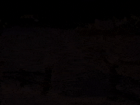 charlie brown GIF by Peanuts