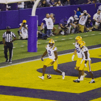 College Football Dance GIF by LSU Tigers