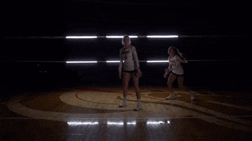 MSUMDragons dragons msum msum dragons msumoorhead GIF