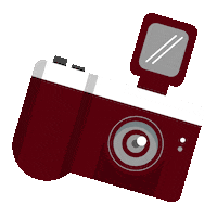Photography Picture Sticker by Musicalweb.nl