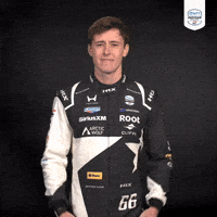 Indy 500 What GIF by INDYCAR