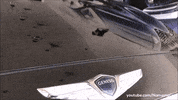 Cars Luxury GIF by Namaste Car