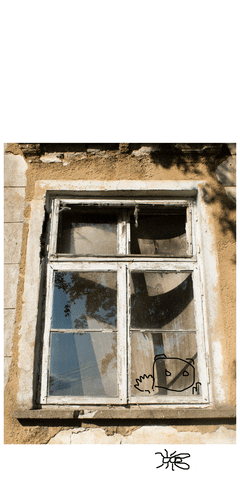 stnort giphyupload GIF