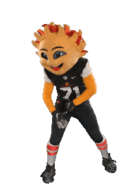 FiestaBowl football sun flex mascot Sticker