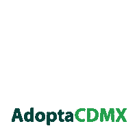 AdoptaCDMX cat dog gato perro Sticker